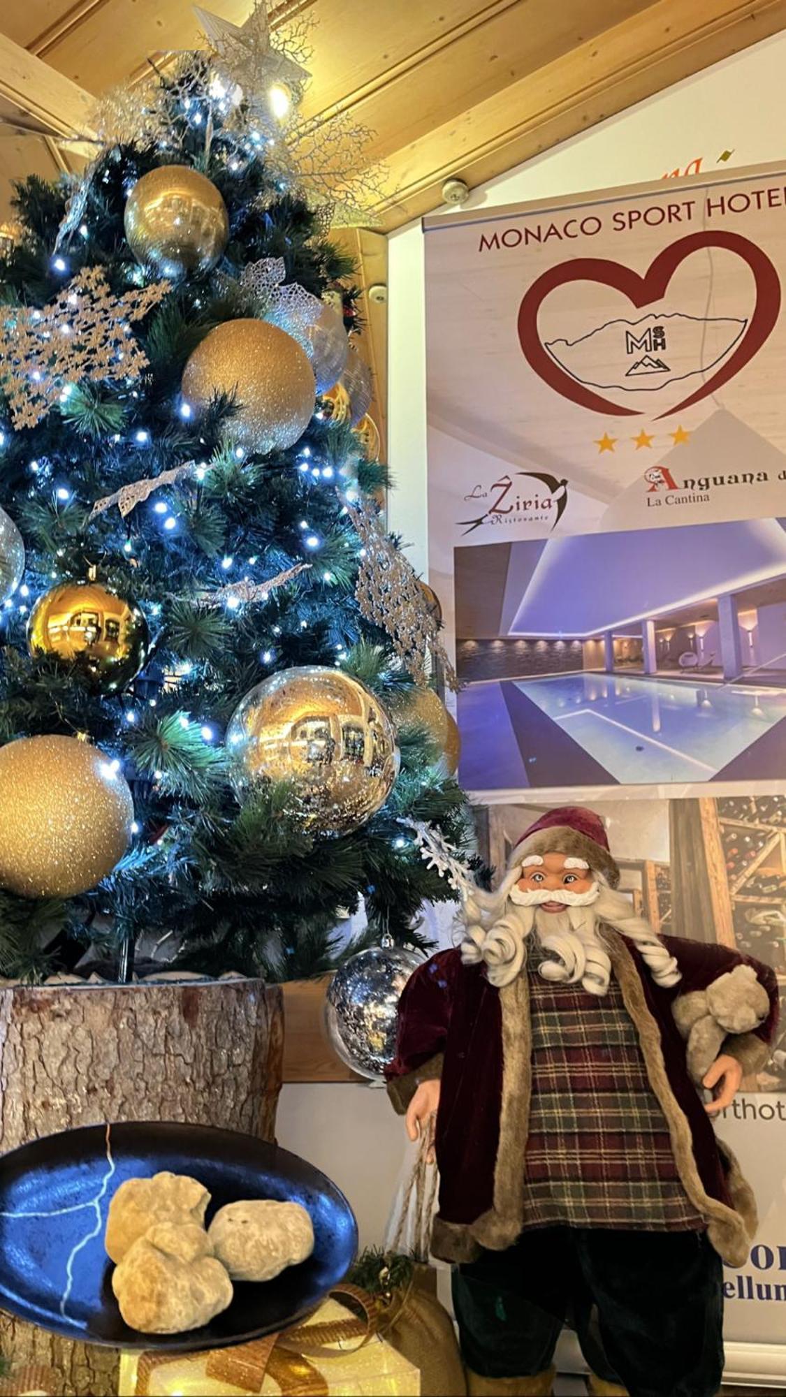 Monaco Sport Hotel Santo Stefano Di Cadore Buitenkant foto